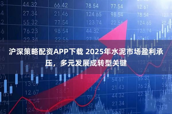 沪深策略配资APP下载 2025年水泥市场盈利承压，多元发展成转型关键