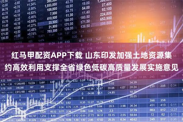 红马甲配资APP下载 山东印发加强土地资源集约高效利用支撑全省绿色低碳高质量发展实施意见