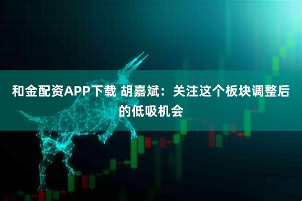 和金配资APP下载 胡嘉斌：关注这个板块调整后的低吸机会