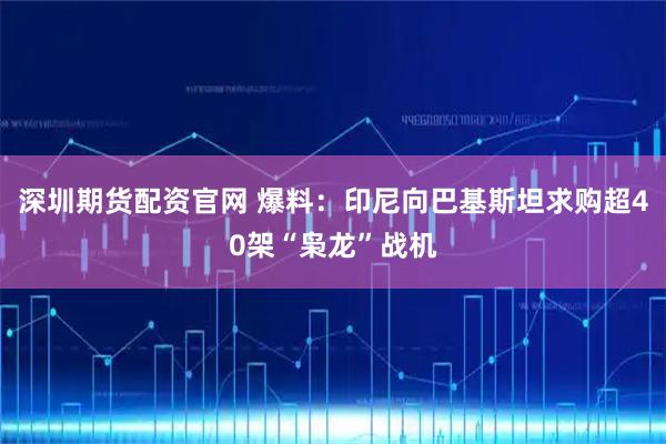 深圳期货配资官网 爆料：印尼向巴基斯坦求购超40架“枭龙”战机