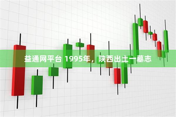 益通网平台 1995年，陕西出土一墓志